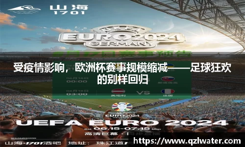 VSport官网入口vsport体育在线官网