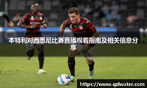 VSport官网入口vsport体育在线官网