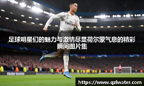 VSport官网入口vsport体育在线官网