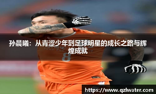 VSport官网入口vsport体育在线官网