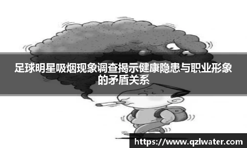 VSport官网入口vsport体育在线官网