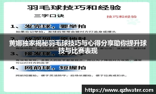 VSport官网入口vsport体育在线官网